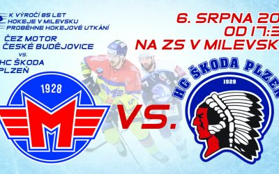 ČEZ MOTOR České Budějovice vs. HC ŠKODA Plzeň