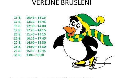 Veřejné bruslení