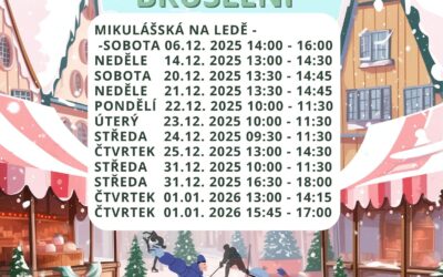 Veřejné bruslení prosinec 2025