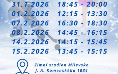 Veřejné bruslení – únor